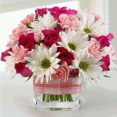 My Garden Bouquet Shop Special