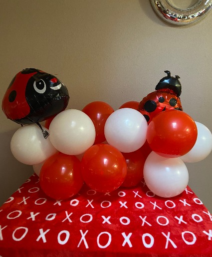 my little ladybug balloons  with accents