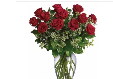 My love Dozen red roses in Fairfield, OH | NOVACK-SCHAFER FLORIST