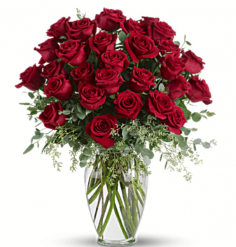 Category Image