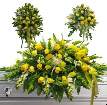 My Only Sunshine 3 Piece Package  