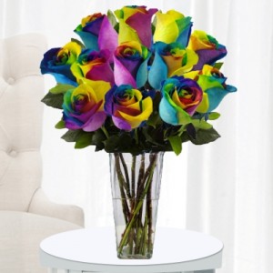 My Promise Rainbow Roses Bright colors of the rainbow roses