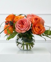 My Sweet Georgia Peach Two Dozen Garden Roses 