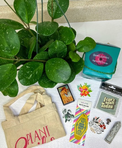 Mystery Plant Box