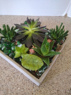Category Image