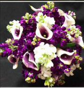 W*  Davis Floral Purple Dreams 