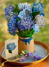 Nantucket Hydrangeas Pop Up Greeting Card 