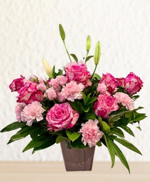 Napa Blush Gardenia Elegance Same Day Flower Delivery