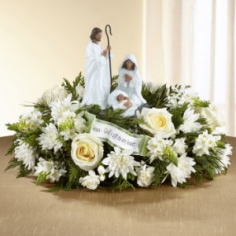 Category Image