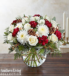NATURAL ELEGANCE BY SOUTHERN LIVING  
