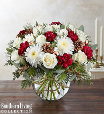 Natural Elegance™ by Southern Living™ holiday