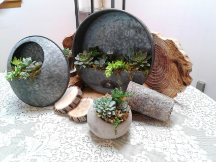 Natural Elements Wall Art Succulent Plants