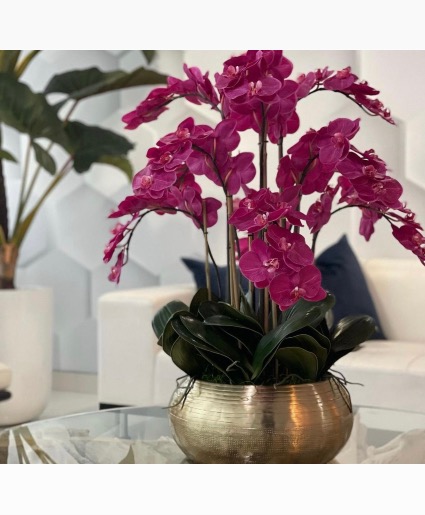 Natural Orchid or Artificial Silk Arrangements
