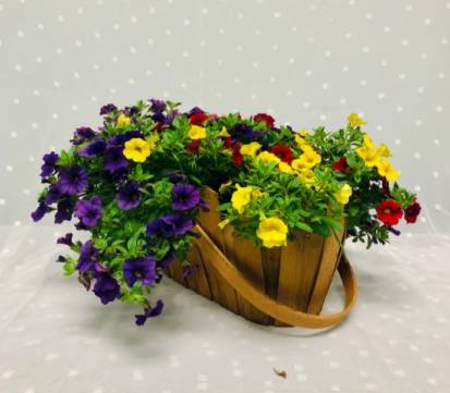 Natural Picket Fence Outdoor Planter