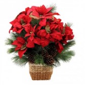 Natural Poinsettia Basket