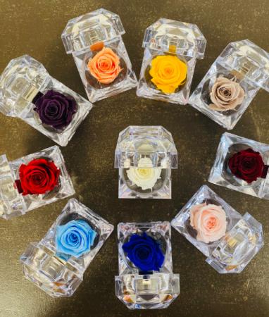 Natural Preserved Rose Crystal Acrylic Ring Box 