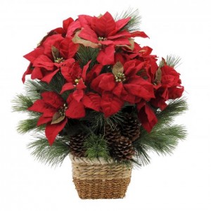      Natural Red Poinsettia 