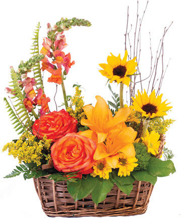 Natural Sunset Basket Arrangement in Waupaca, WI | Barnwood Farms - Flower & Keepsake Co.