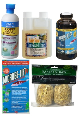 Natural Water Clarity Treatments in Valley City, OH | HILL HAVEN FLORIST & GREENHOUSE Natural Water Clarity Treatments in Valley City, OH | HILL HAVEN FLORIST & GREENHOUSE