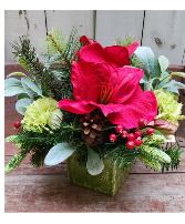 Natural Wonders Silk Holiday Arrangement