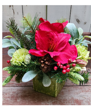 Natural Wonders Silk Holiday Arrangement