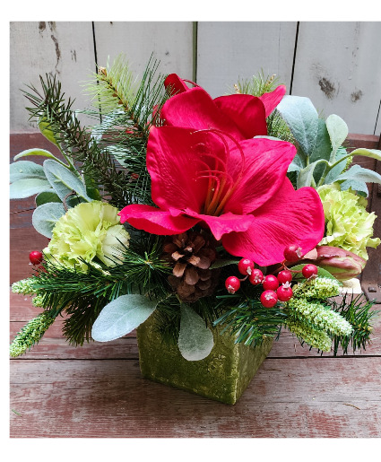 Natural Wonders Silk Holiday Arrangement