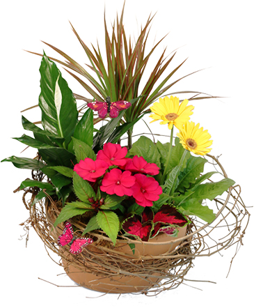Naturally Beautiful Flowering Plants in Bensalem, PA | A FASHIONABLE FLOWER BOUTIQUE