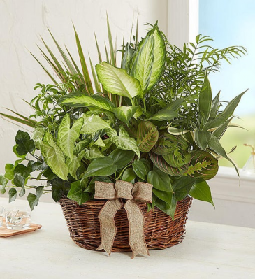Nature Garden  in Snellville, GA | SNELLVILLE FLORIST