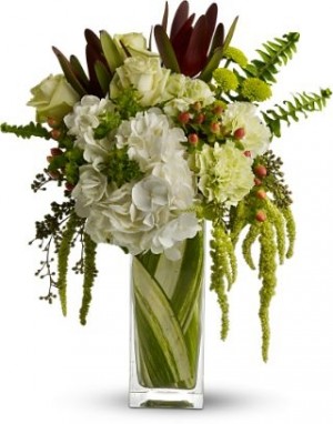 Nature's Kiss in Los Angeles, CA | MY BELLA FLOWER Nature's Kiss in Los Angeles, CA | MY BELLA FLOWER