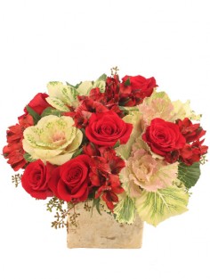 Category Image