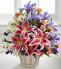 Nature's Song in Fair Lawn, NJ | Dietch's Florist Nature's Song in Fair Lawn, NJ | Dietch's Florist