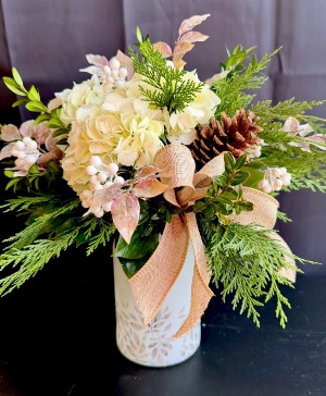 Nature’s Winter Beauty 