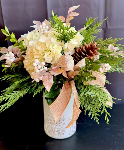 Nature’s Winter Beauty 