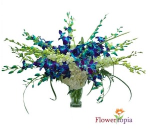 Festival of lights  Orchid Arrangement