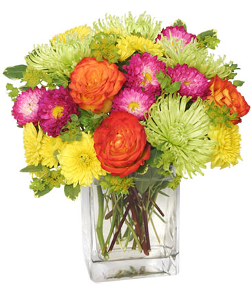 Neon Splash Bouquet in Newmarket, ON | FLOWERS 'N THINGS FLOWER & GIFT SHOP