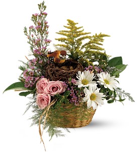 Nesting Basket in Presque Isle, ME | COOK FLORIST, INC. Nesting Basket in Presque Isle, ME | COOK FLORIST, INC.