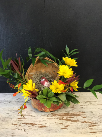 Nesting in the daisies