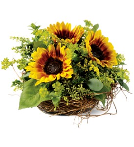 Nesting Sunflowers TFWEB41