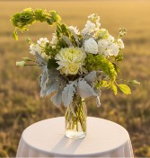 Neutral Designers Choice 