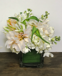 Neutral Spring Cube Arrangement 