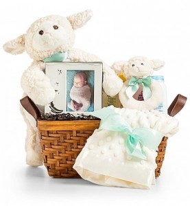 Fruit , Chocolate & Wine Basket Gift Basket