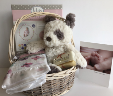 New Baby Basket Gift Basket