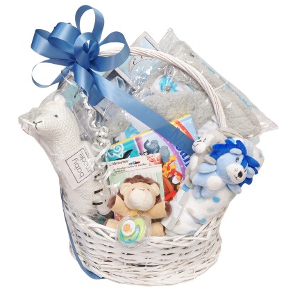 New Baby Boy Gift Basket Gift Basket