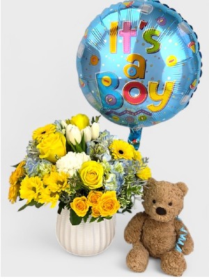 NEW BABY BOY PACKAGE  