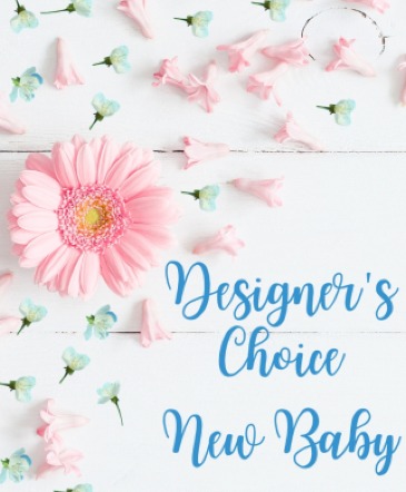 New Baby Designer Choice  in Arlington, TX | Wilsons in Bloom