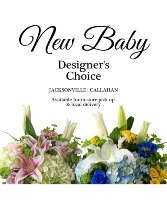 New Baby Designer's Choice 