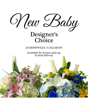 New Baby Designer's Choice  in Jacksonville, FL | DINSMORE FLORIST INC.