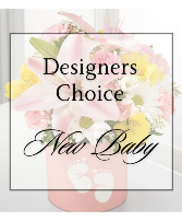 New Baby Designers Choice 