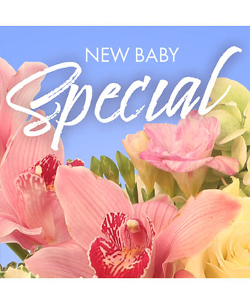 New Baby Favorite Designer's Choice in Nocona, TX | DOWNTOWN FLOWERS & GIFTS / Judy's Floral & Gifts