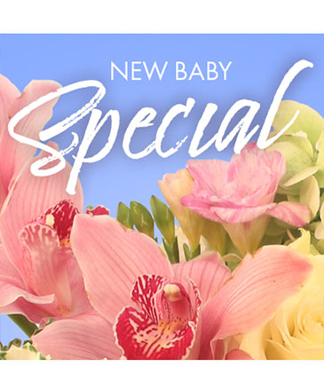 New Baby Favorite Designer's Choice in Woodruff, SC | THE FLOWER PATCH FLORIST